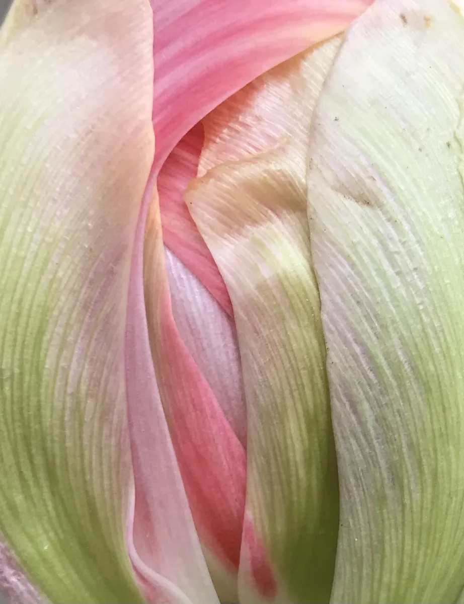 Verwehte Spur — Struktur, Fläche und Farbe im Detail von Ruth Seifert