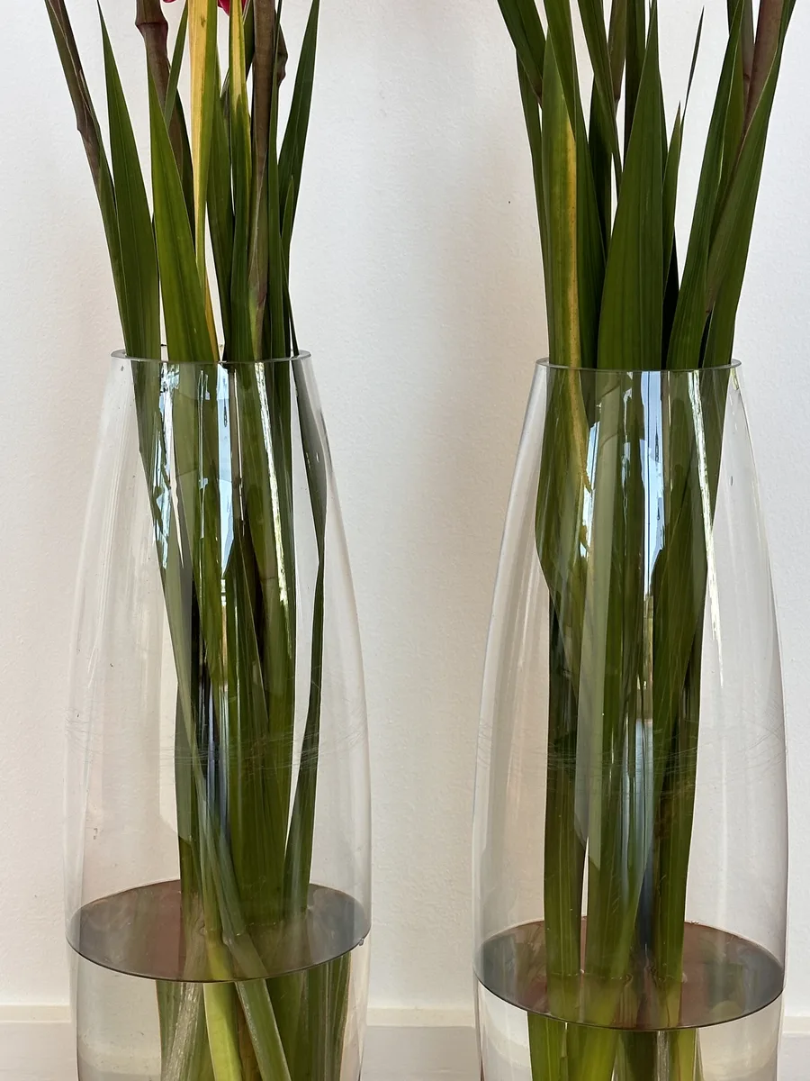 Sandkorn — Struktur, Fläche und Farbe im Detail von Ruth Seifert