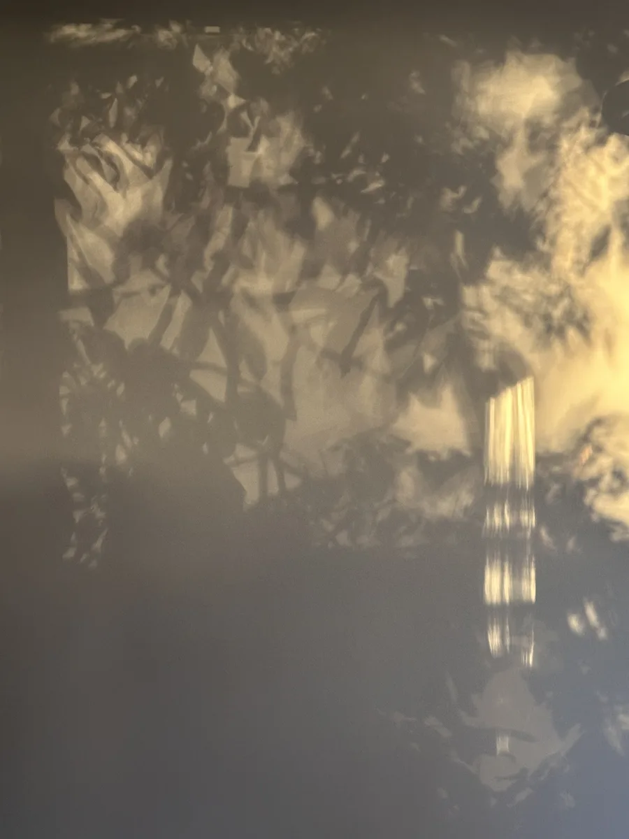 Erdader — Struktur, Fläche und Farbe im Detail von Ruth Seifert
