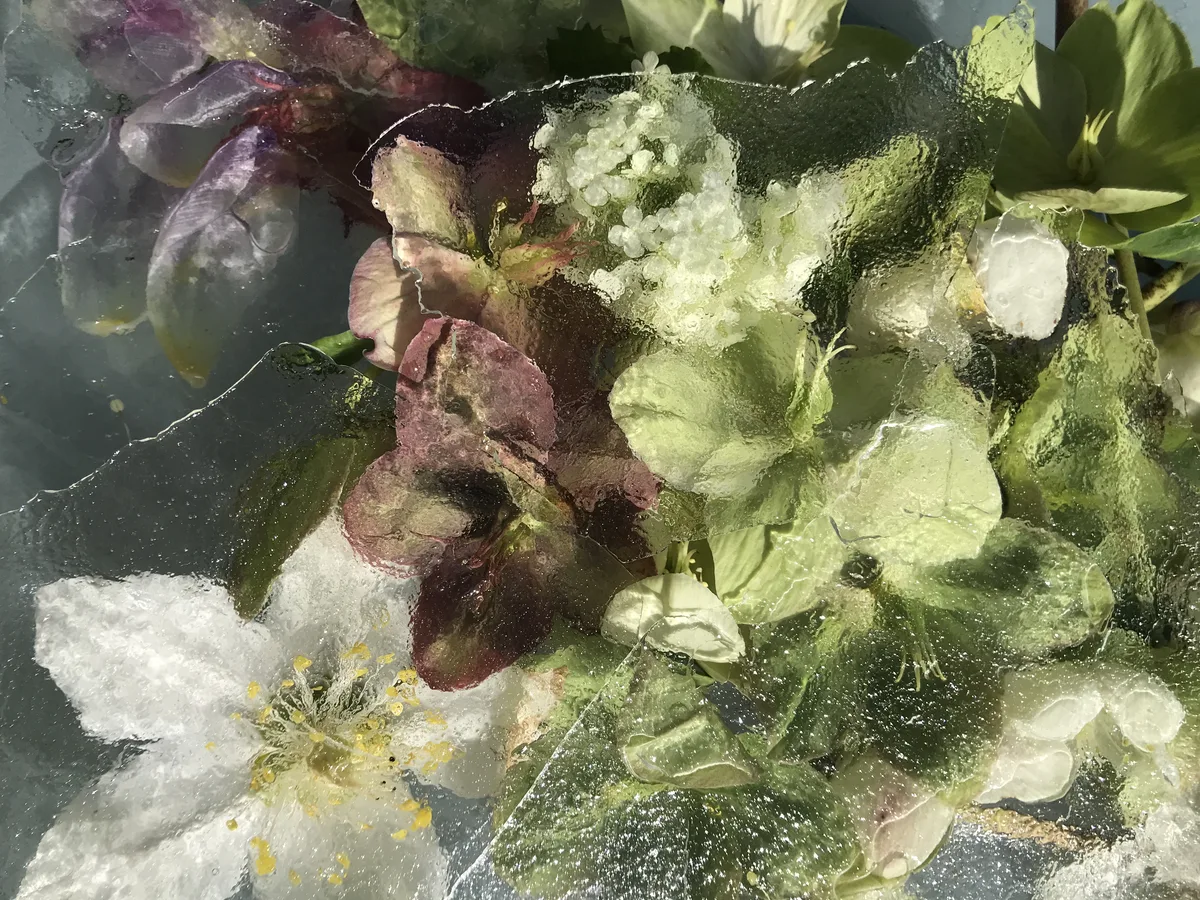 Verhaltener Glanz — Arrangements und gefundene Dinge von Ruth Seifert