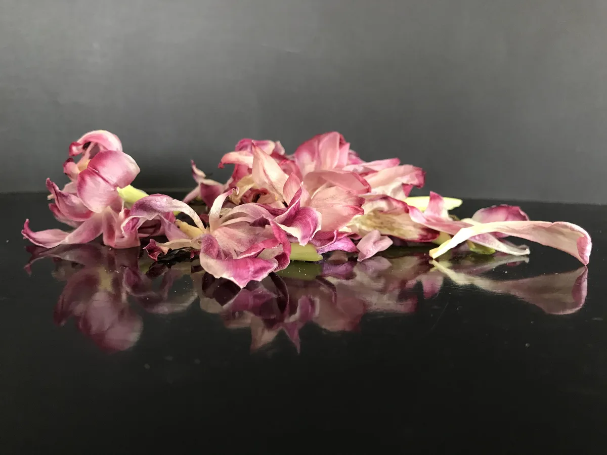 Matter Schimmer — Arrangements und gefundene Dinge von Ruth Seifert