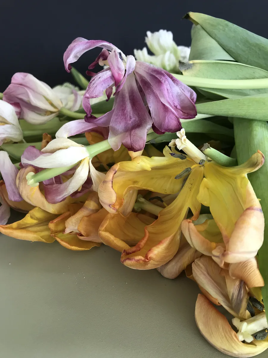 Samtgrund — Arrangements und gefundene Dinge von Ruth Seifert