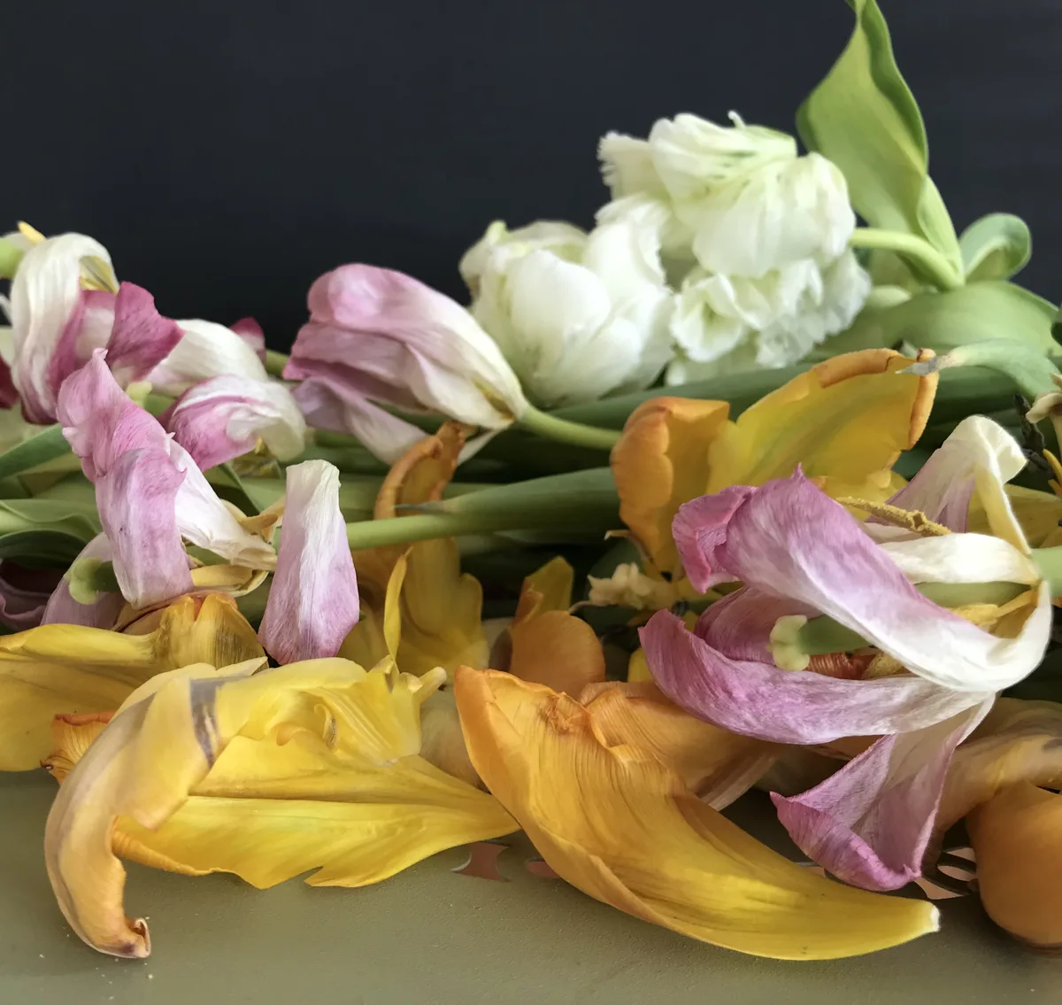 Schweigende Schale — Arrangements und gefundene Dinge von Ruth Seifert